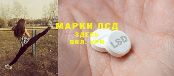 тгк Новодвинск