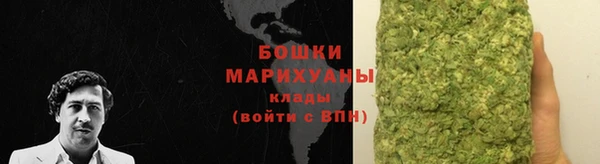 тгк Новодвинск