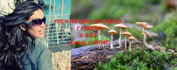 ECSTASY Нефтекумск