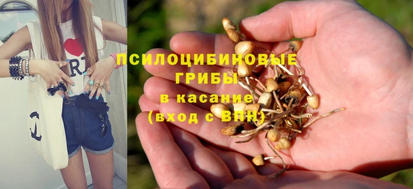 ECSTASY Нефтекумск